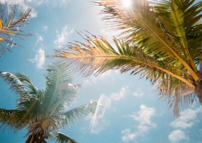 COMMUNITY WEBSITE - PROPERTYPOP HOA WEBSITES